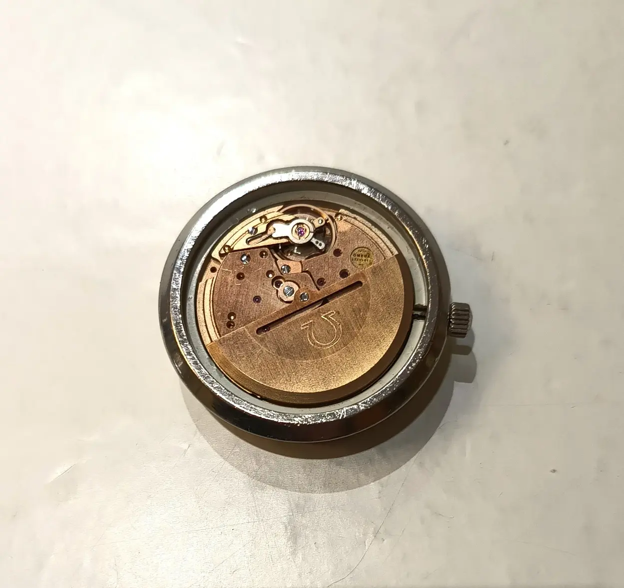 IMG_20241221_173149955.webp IMG_20241221_173149955.webp