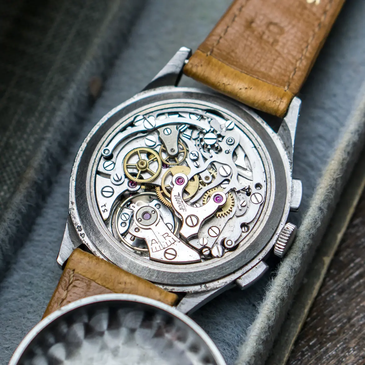 DSC08979-8.webp DSC08979-8.webp