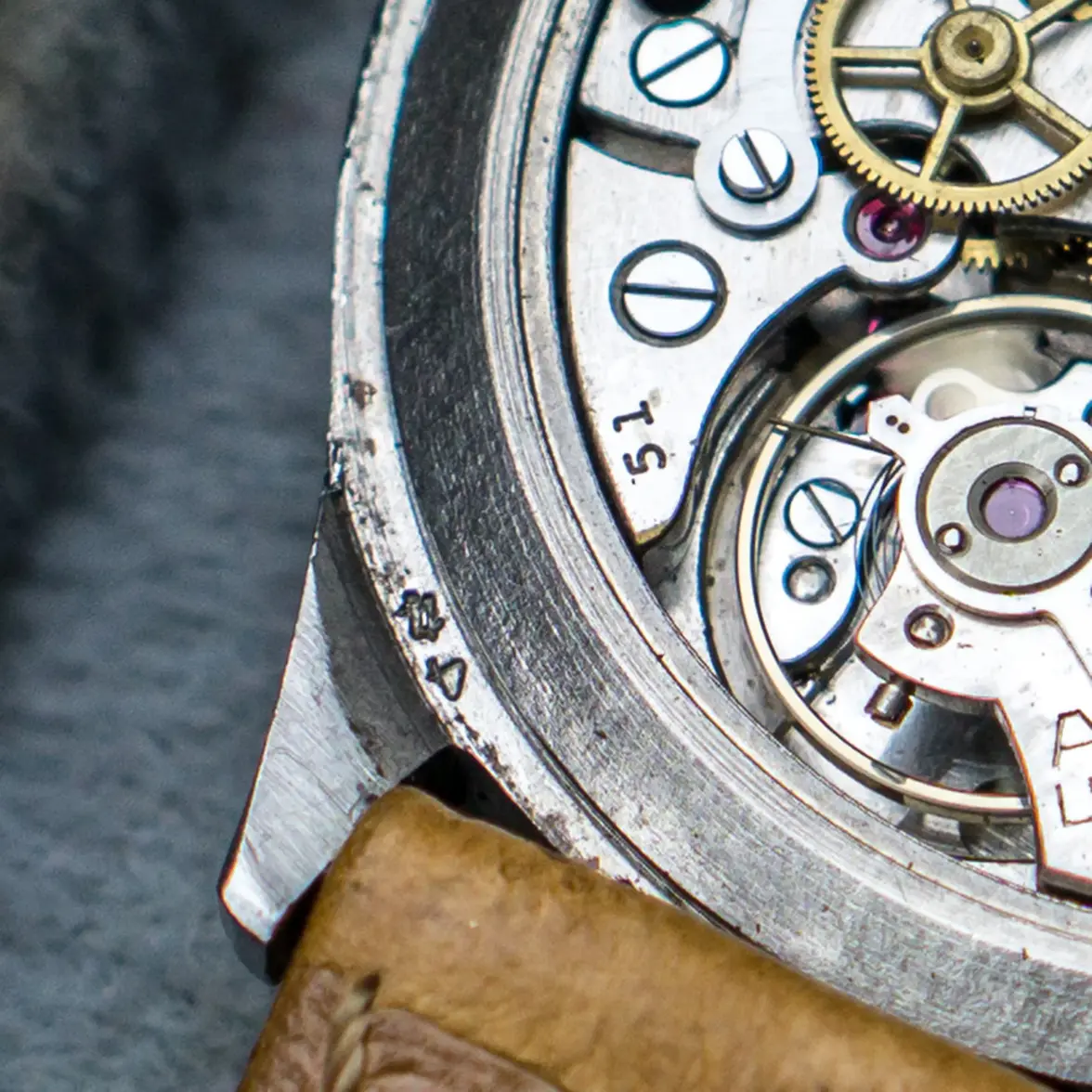 DSC08979-8_2.webp DSC08979-8_2.webp