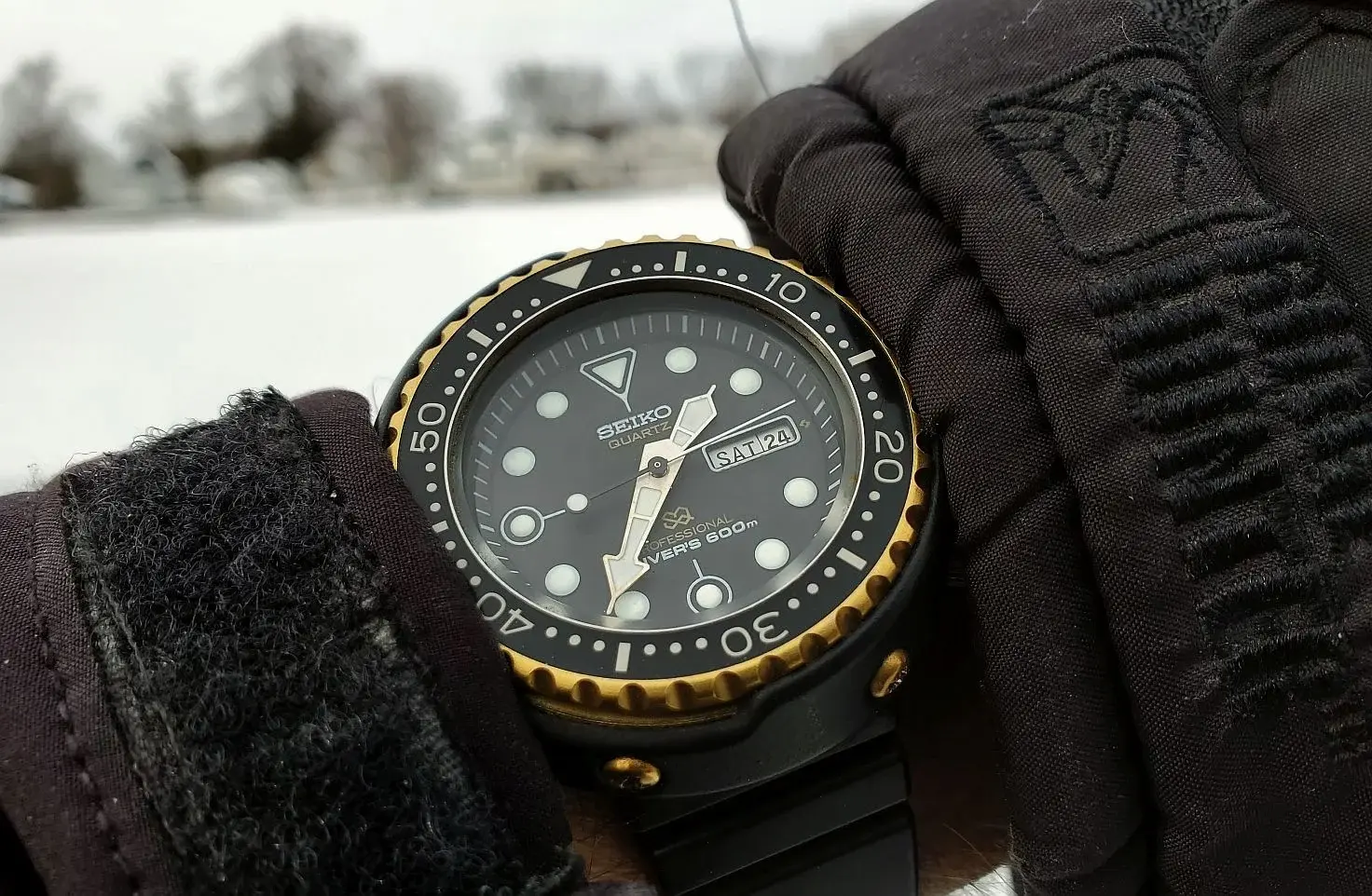 Tuna ws 3b 20260124_133623.webp