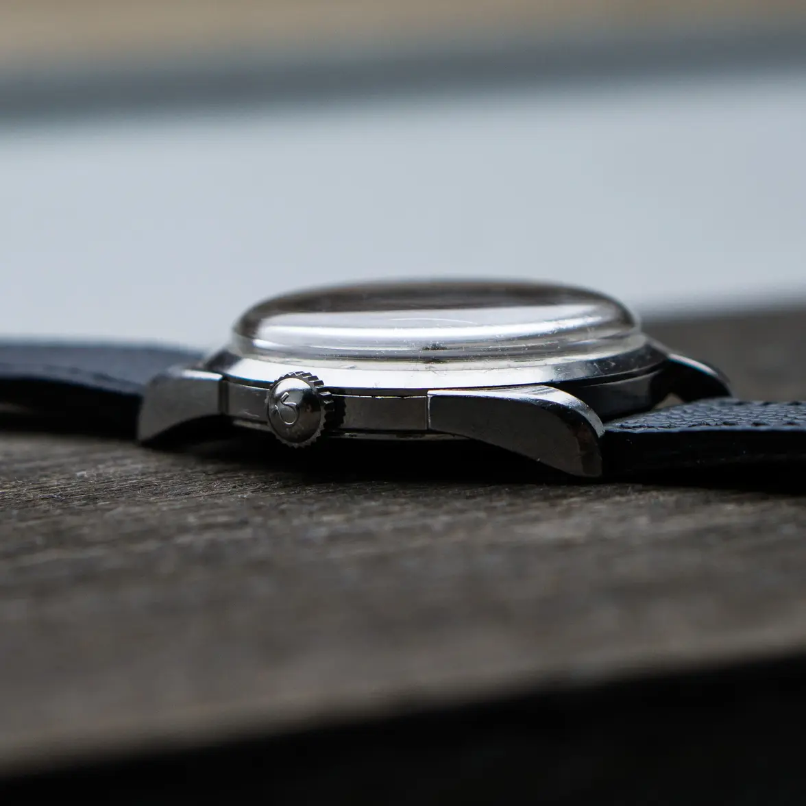 DSC08995-6.webp DSC08995-6.webp