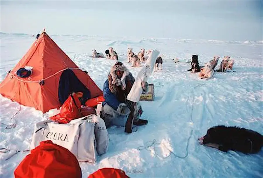 471681769_10161041410554537_5479532768696403573_n.webp 471681769_10161041410554537_5479532768696403573_n.webp