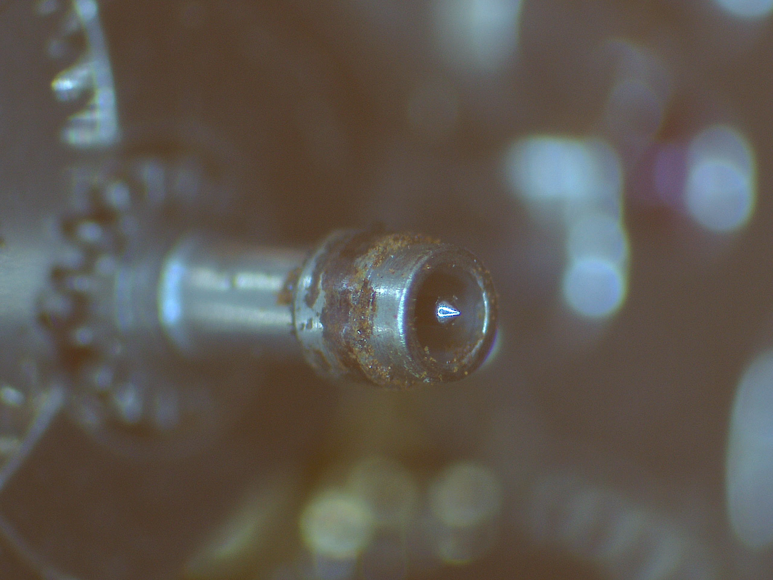 Canon Pinion Crud.jpg.webp