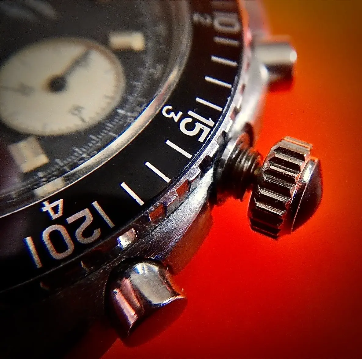 485681898_10161266185454537_8253353445076607928_n 3.webp