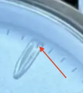 Screenshot 2026-01-29 at 11.47.12 AM.webp