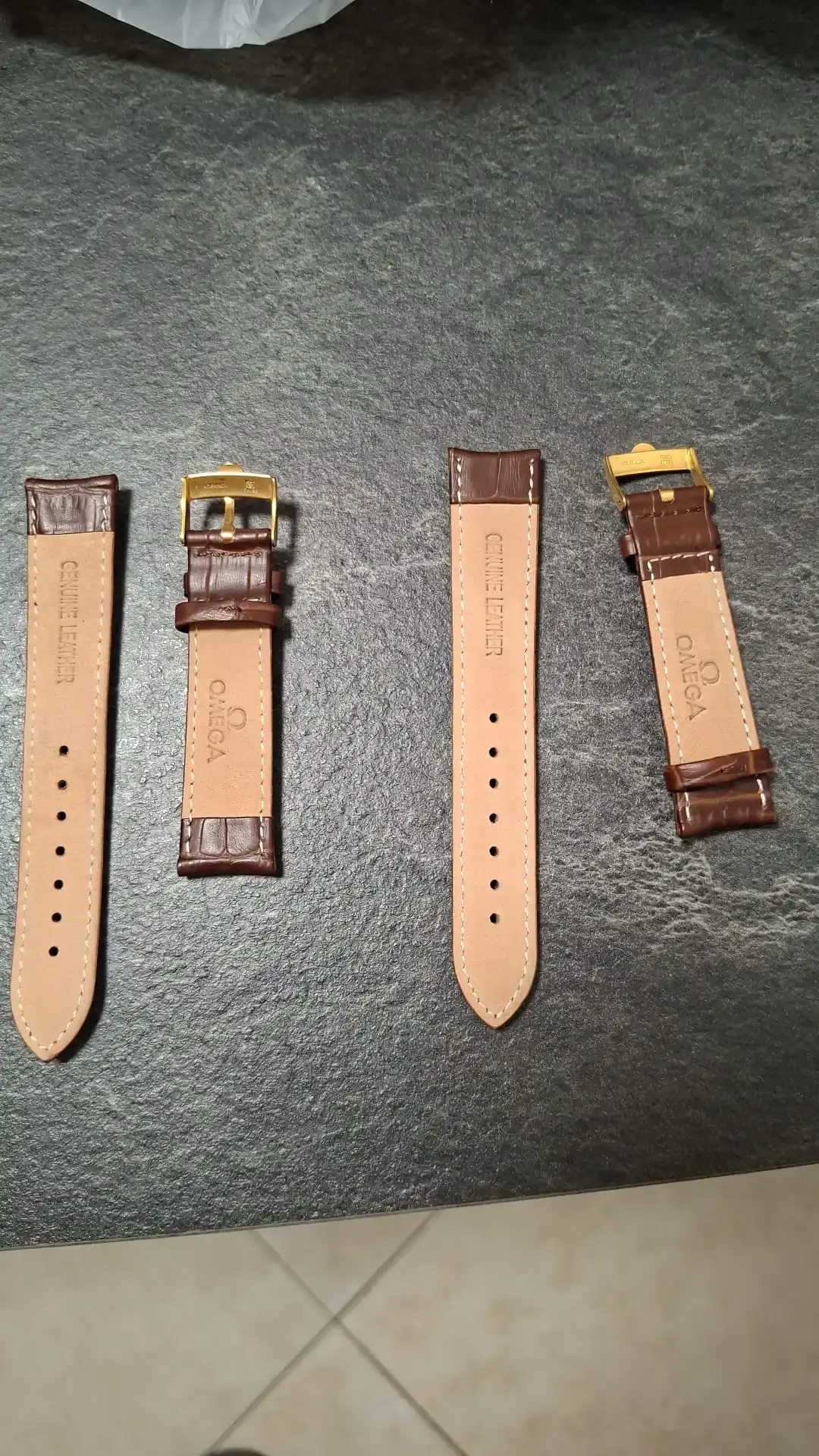 WhatsApp Image 2026-01-29 at 22.43.10.webp