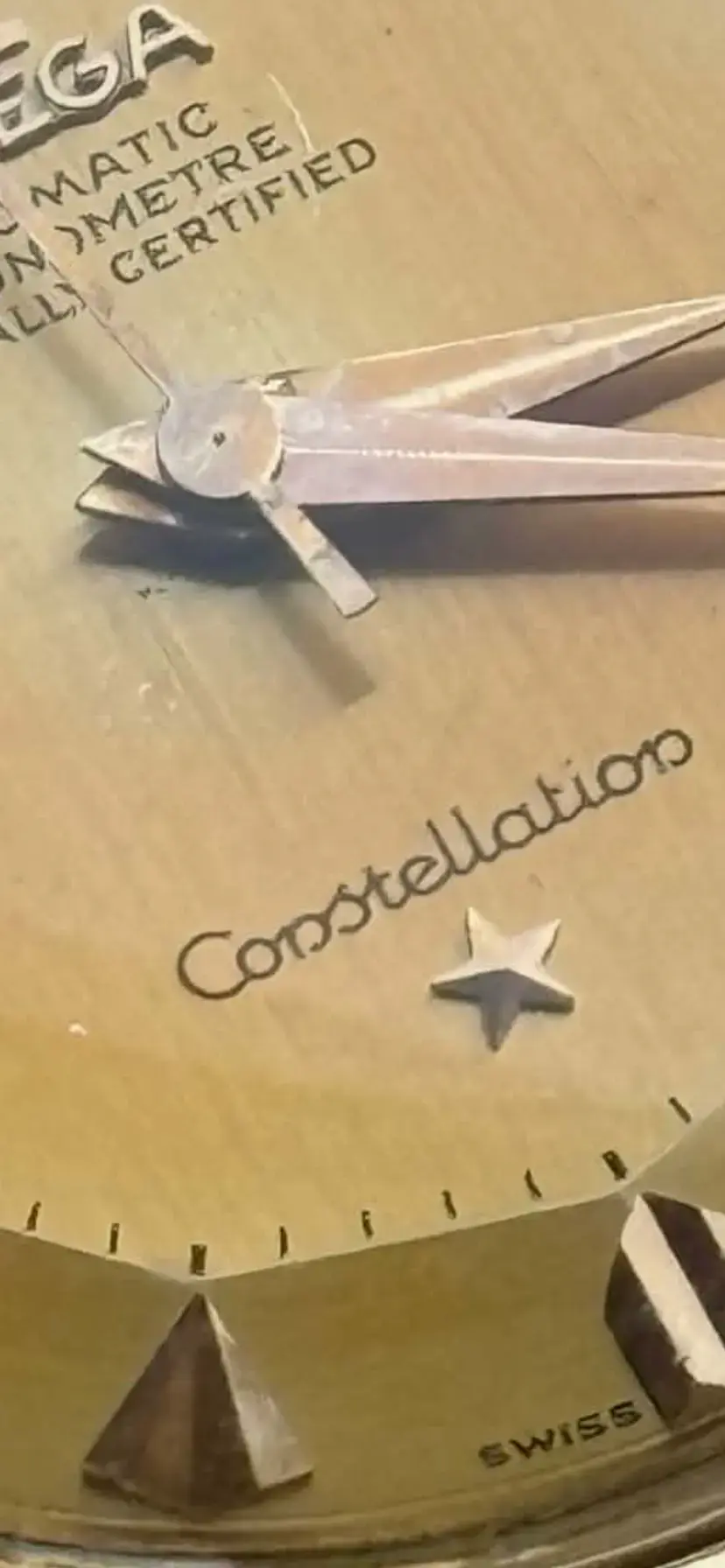 IMG_1368.webp IMG_1368.webp