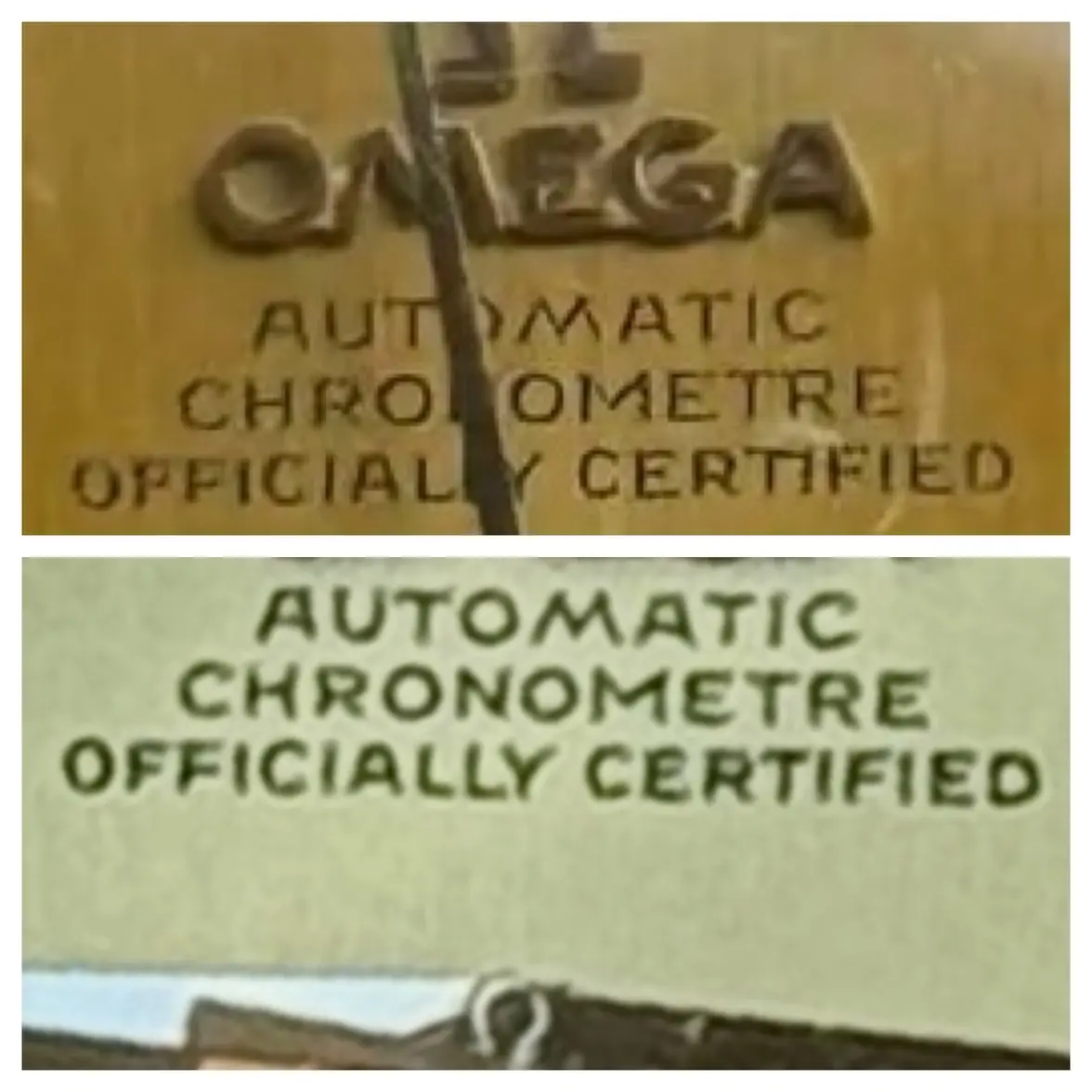 IMG_1743.webp IMG_1743.webp