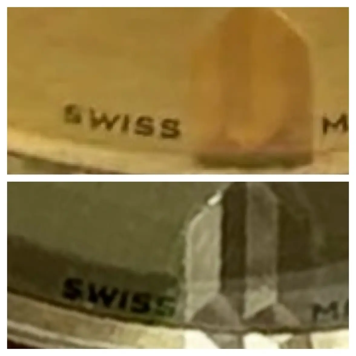 IMG_1744.webp IMG_1744.webp