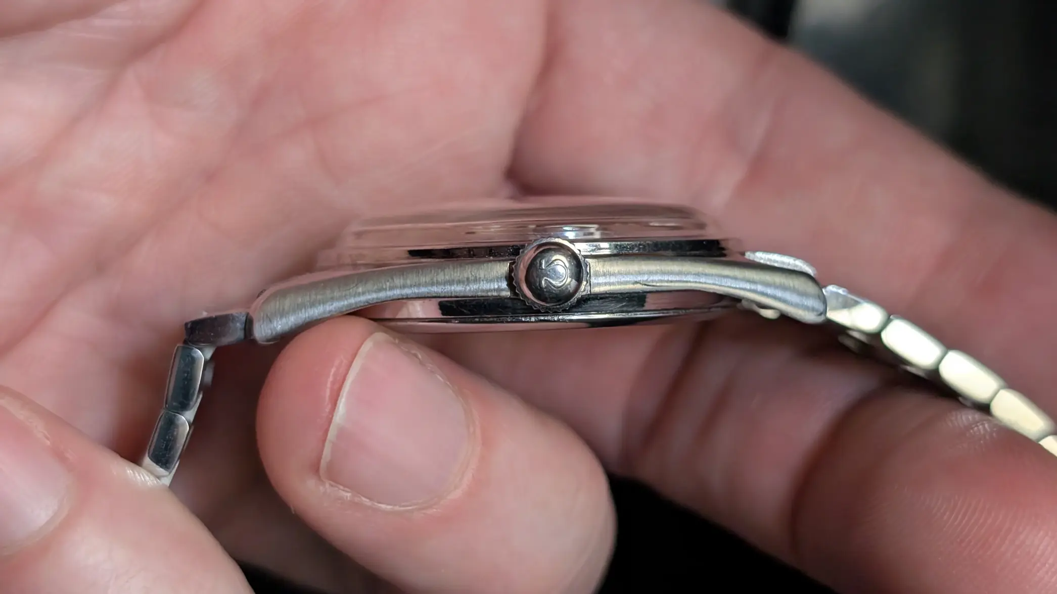 PXL_20260131_050238664.MP.webp PXL_20260131_050238664.MP.webp