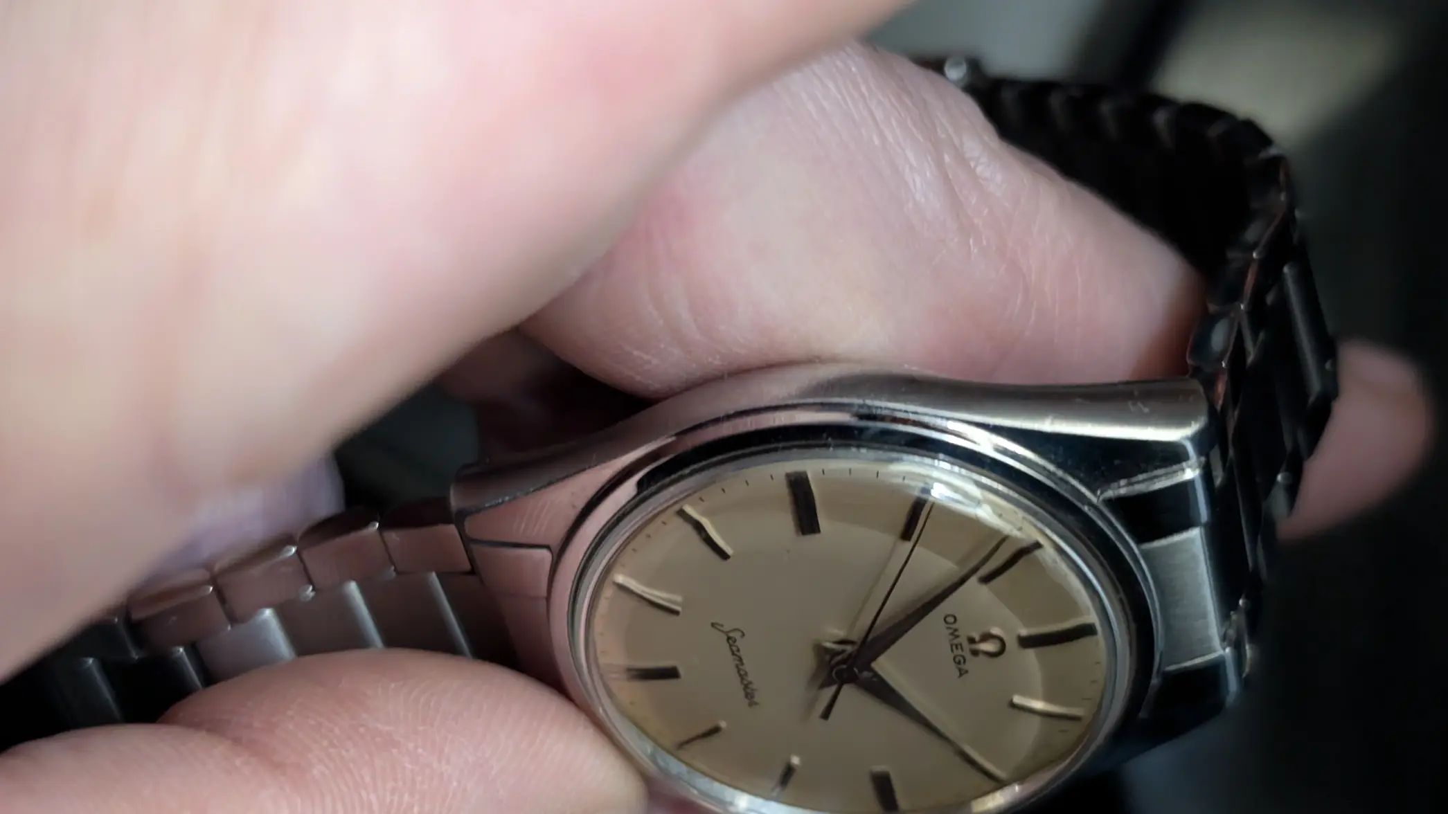 PXL_20260131_050255547.MP.webp PXL_20260131_050255547.MP.webp