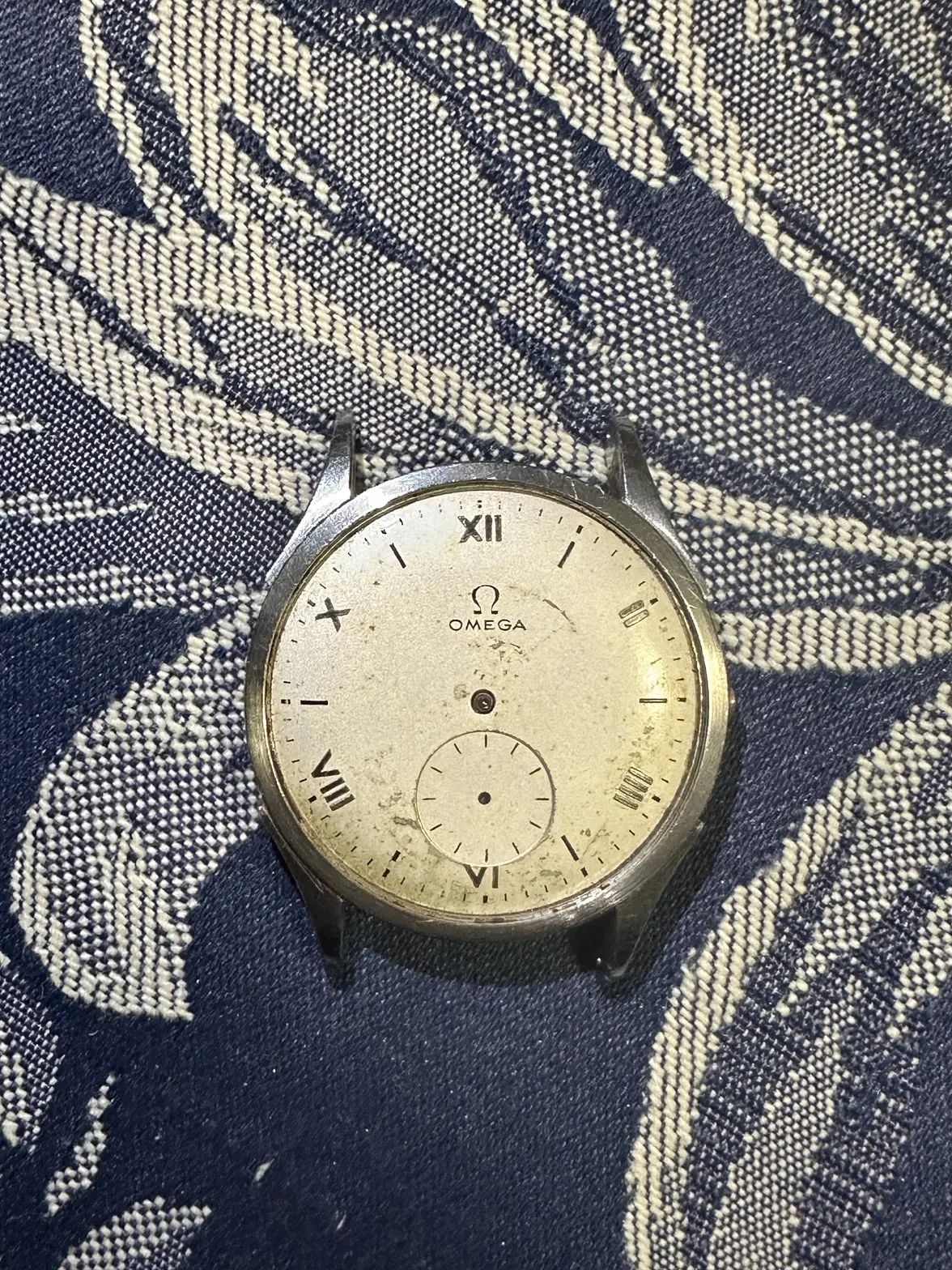 IMG_1847.webp IMG_1847.webp