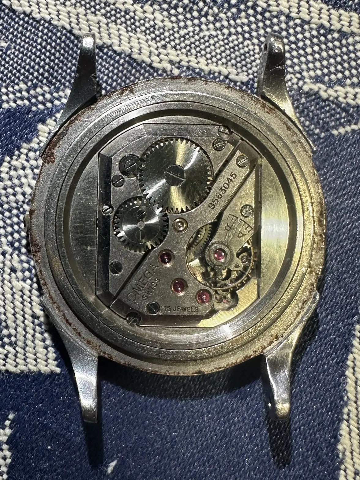 IMG_1849.webp IMG_1849.webp