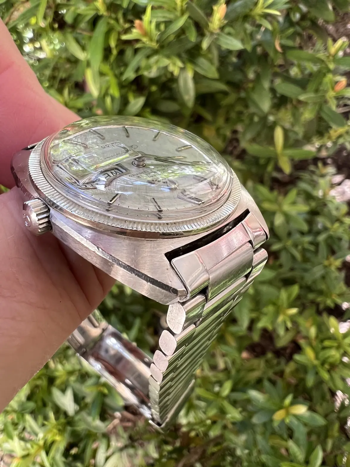 IMG_5324.webp IMG_5324.webp