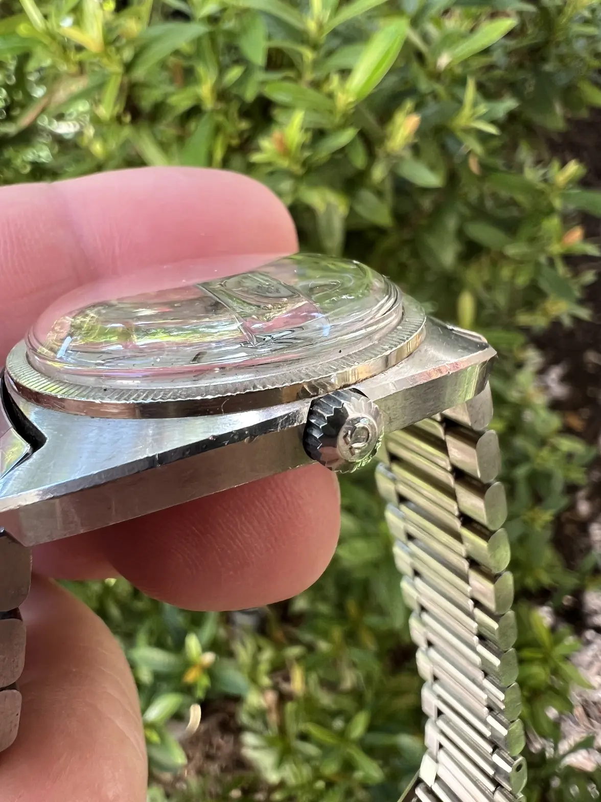 IMG_5323.webp IMG_5323.webp