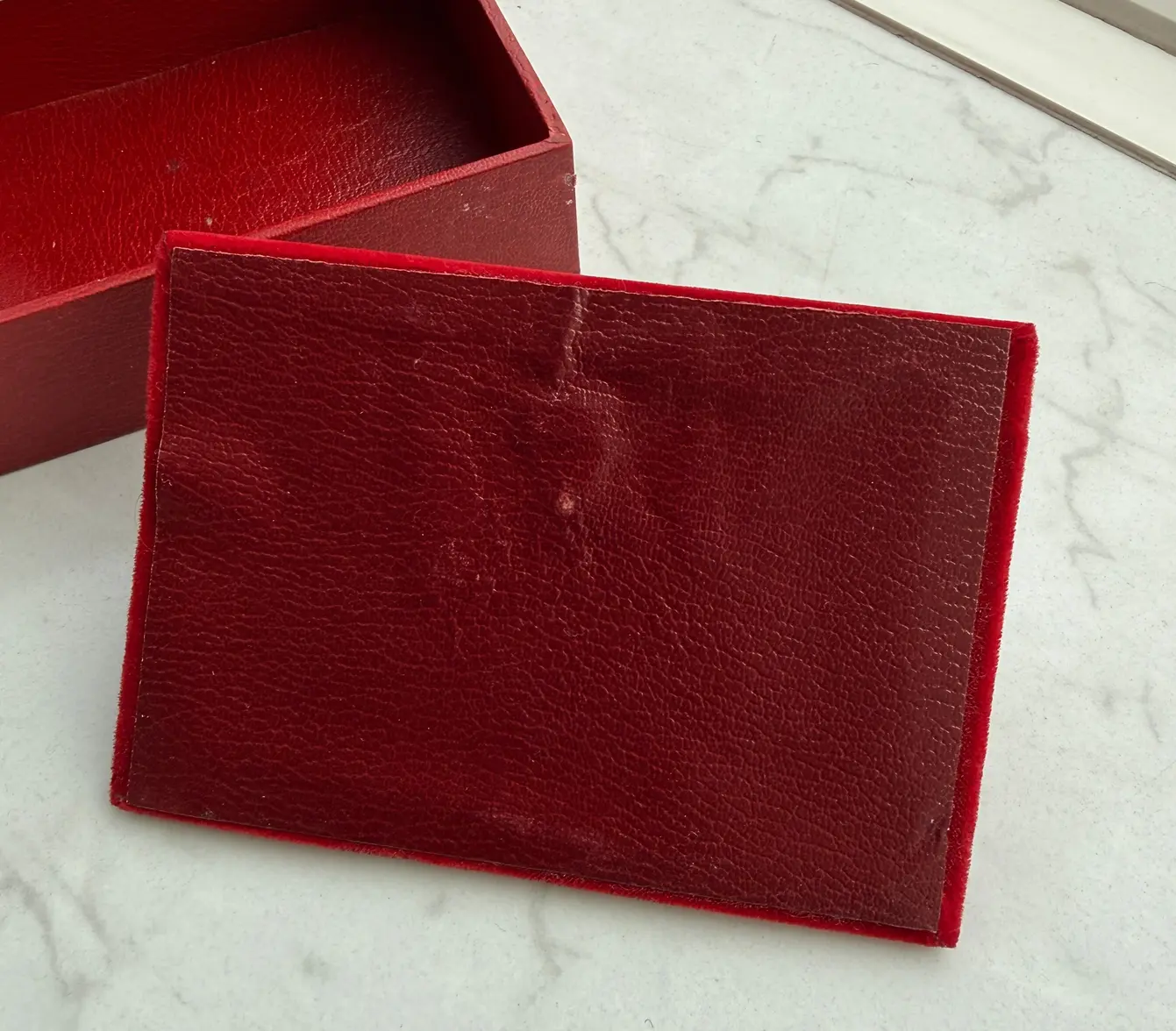 omega_doos (13).webp