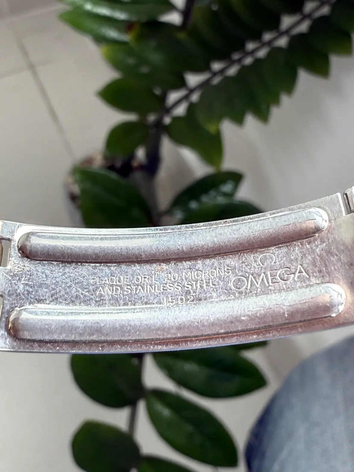 IMG_6417.webp IMG_6417.webp