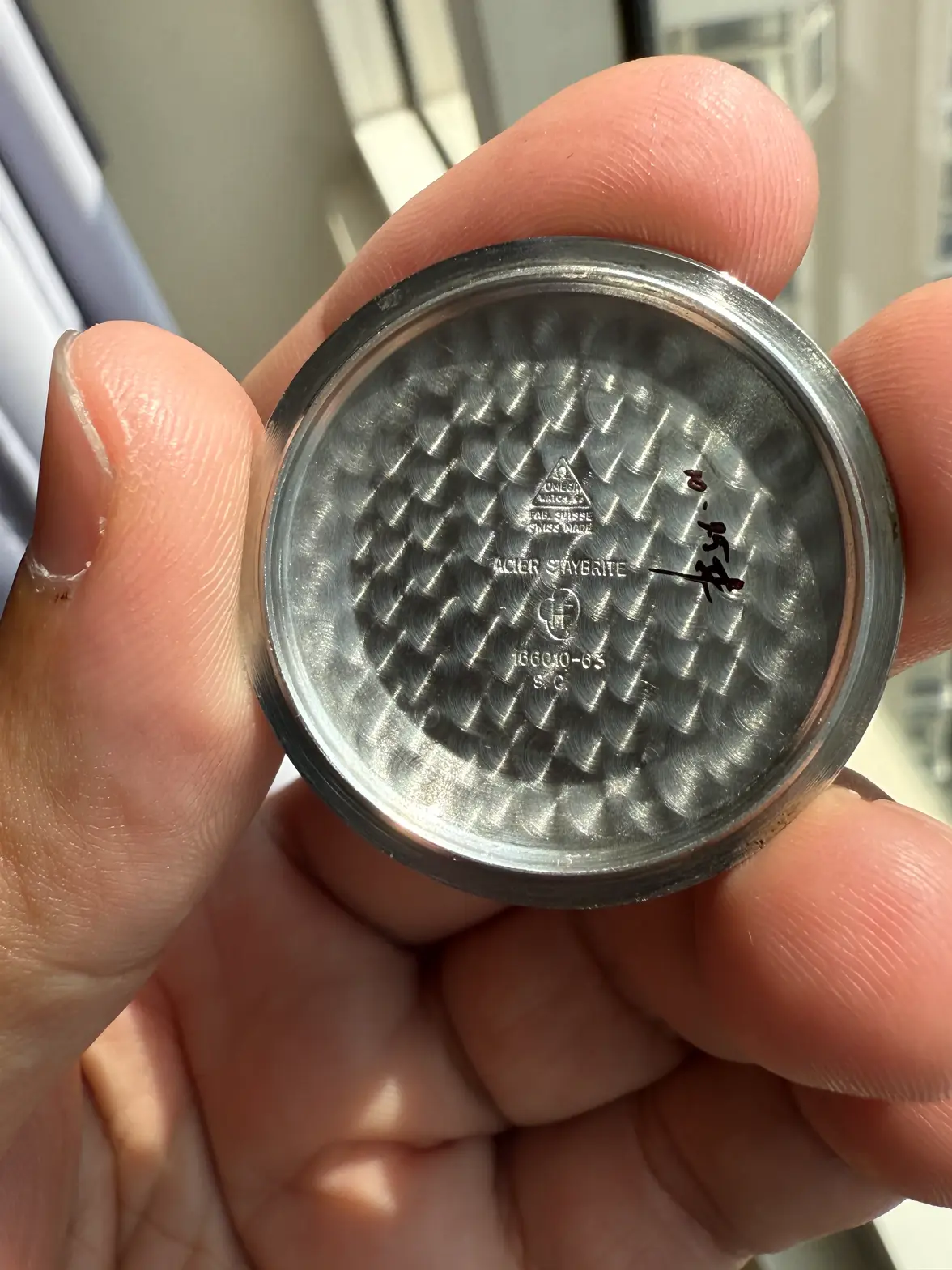 IMG_6870.webp IMG_6870.webp