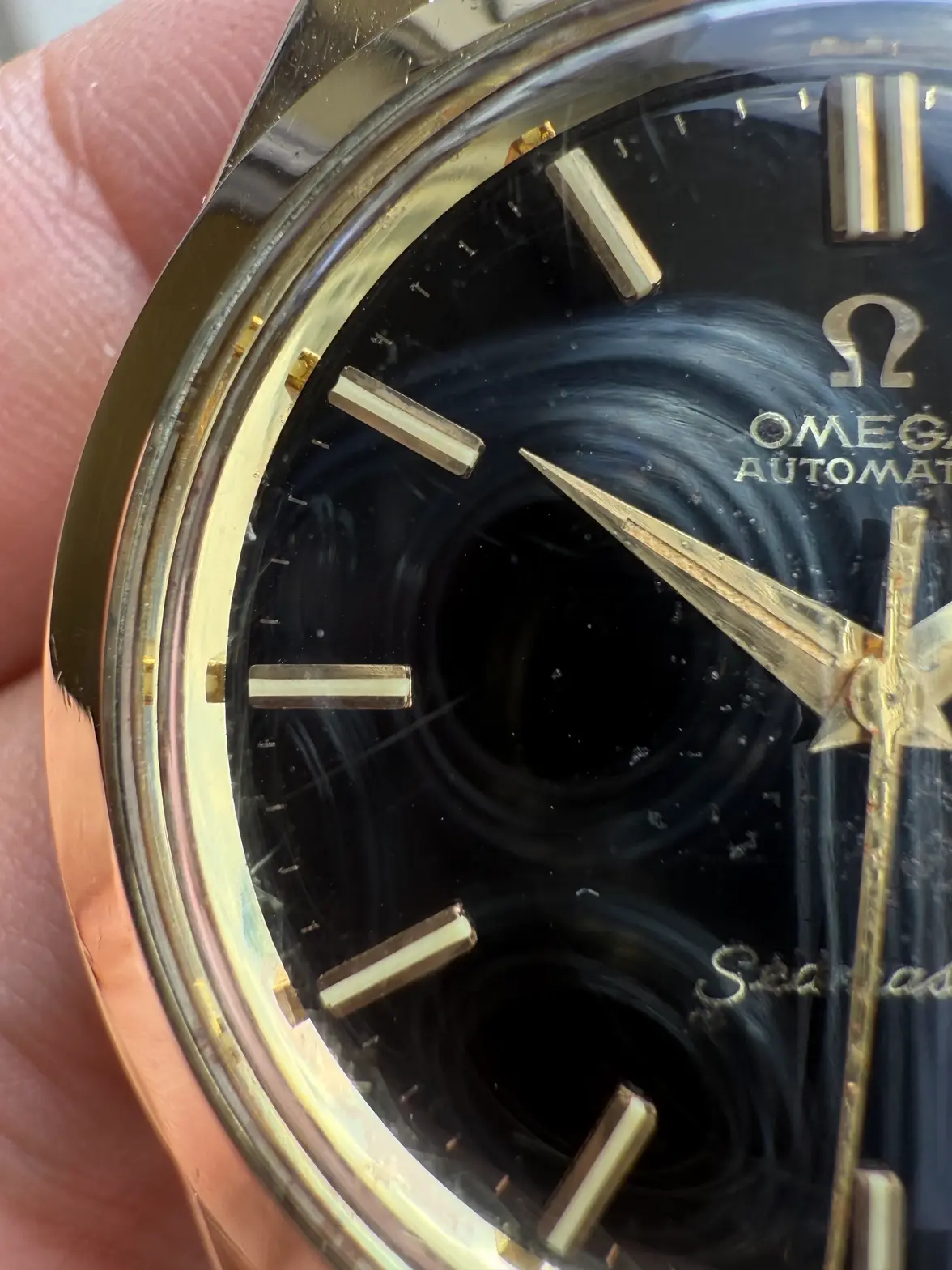 IMG_6874.webp IMG_6874.webp