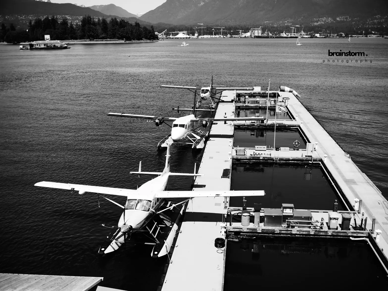 P6050033-DxO_DeepPRIME XD2s_XD-2200.webp