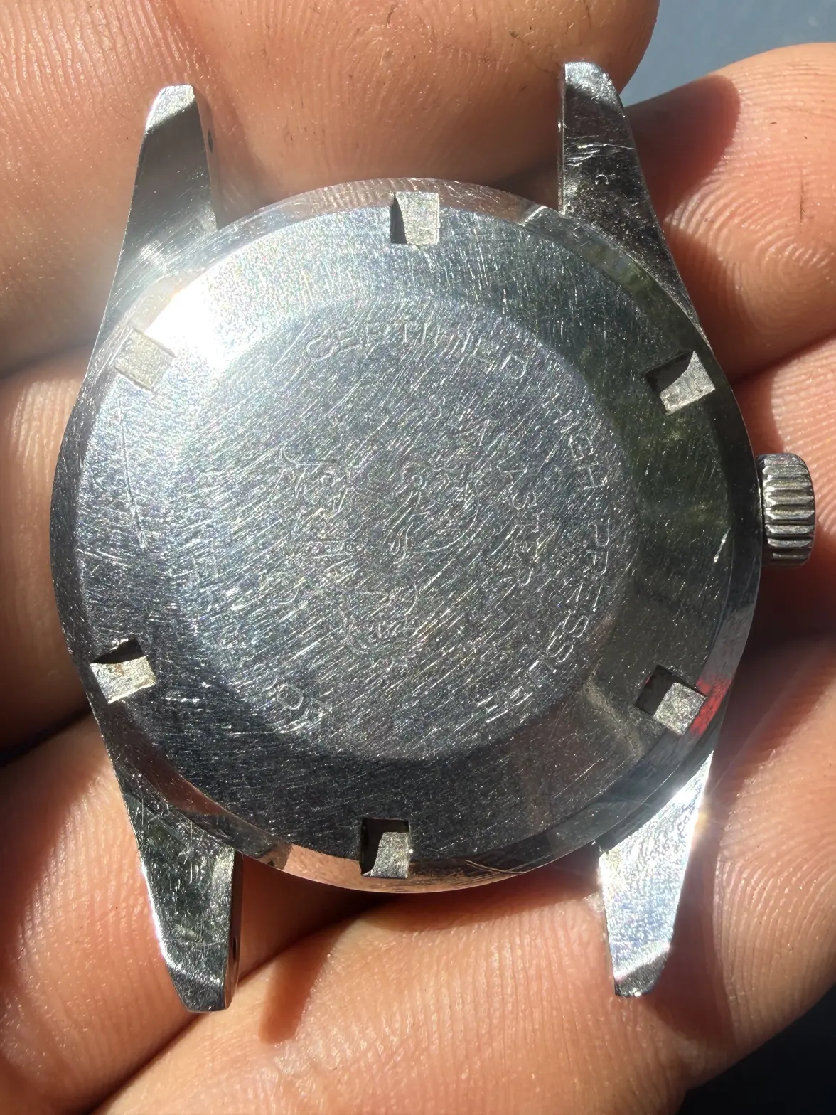 IMG_0329.webp IMG_0329.webp