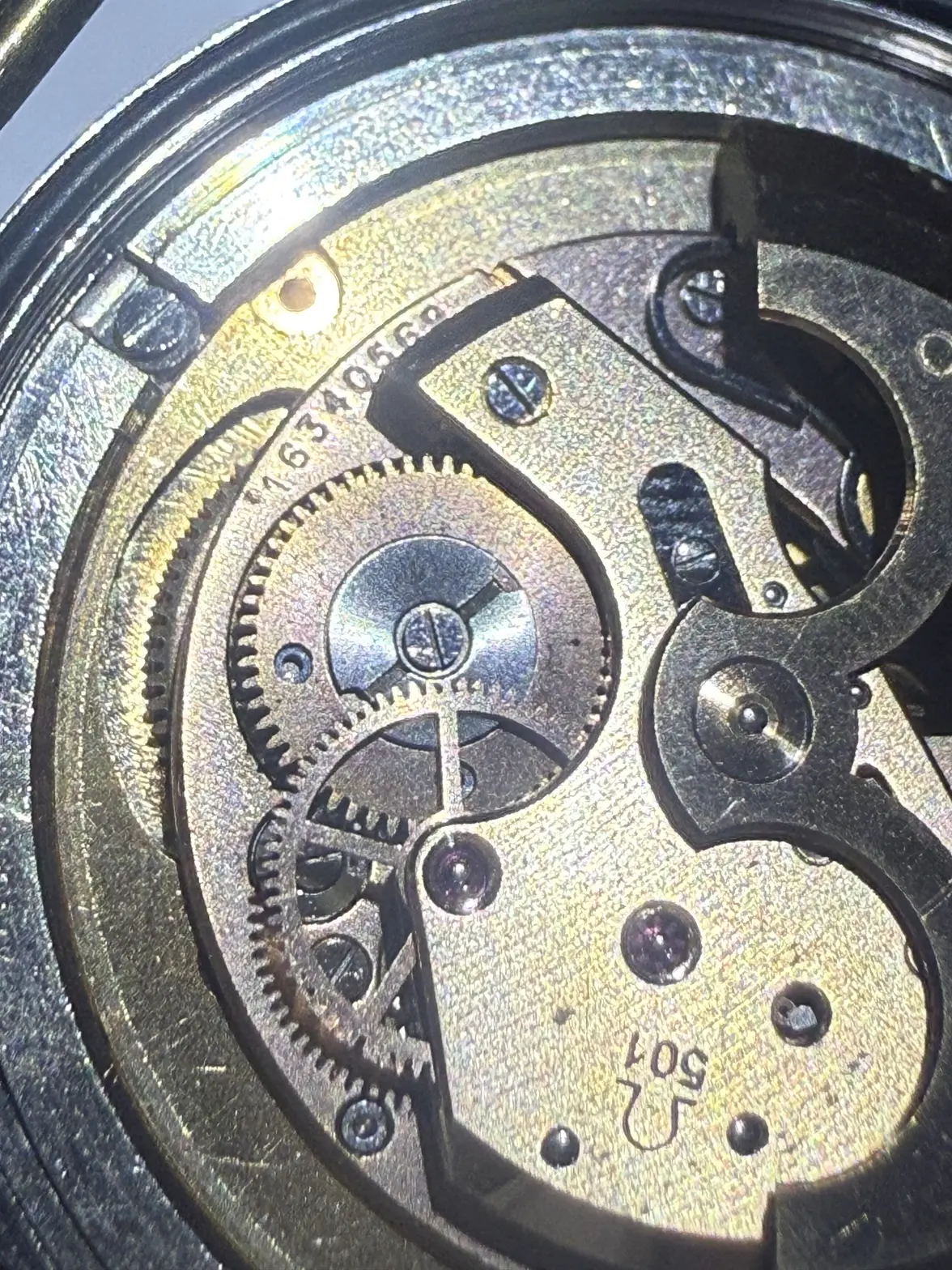 IMG_9050.webp IMG_9050.webp