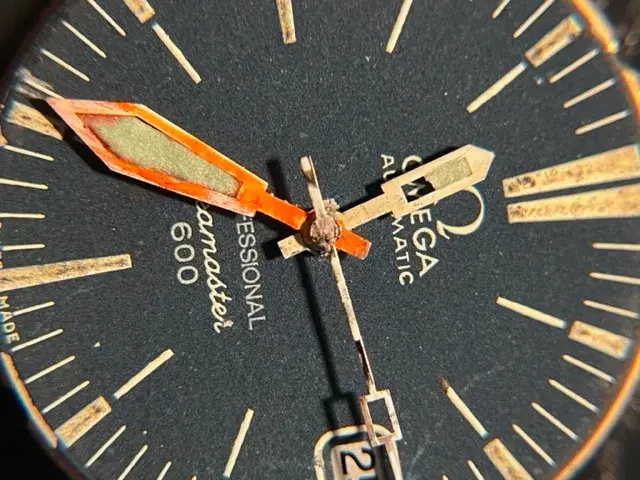 IMG_3383.webp IMG_3383.webp