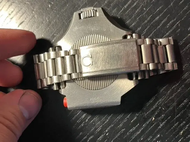 IMG_3389.webp IMG_3389.webp