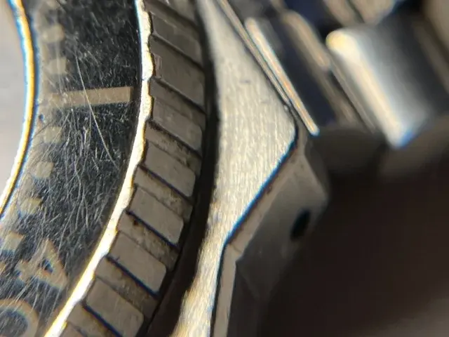 IMG_4219.webp IMG_4219.webp