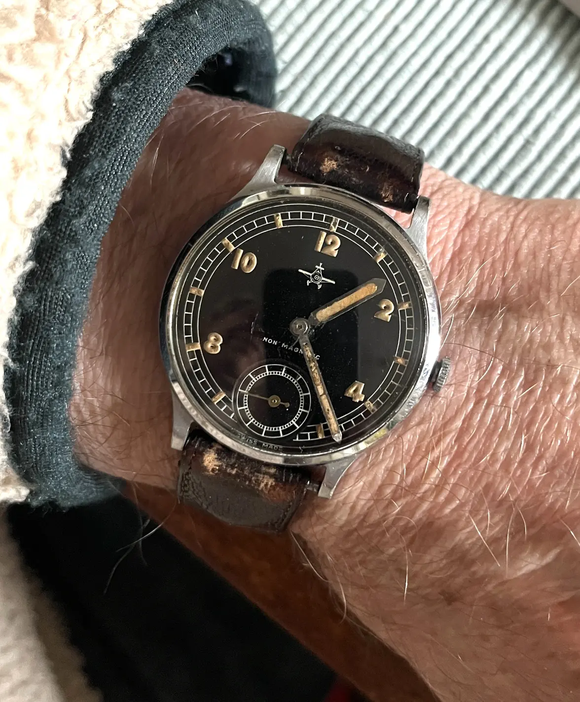 marvin on wrist.webp