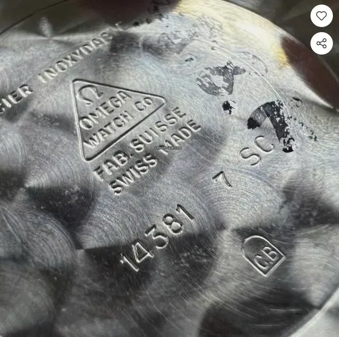 Capture C15.webp Capture C15.webp