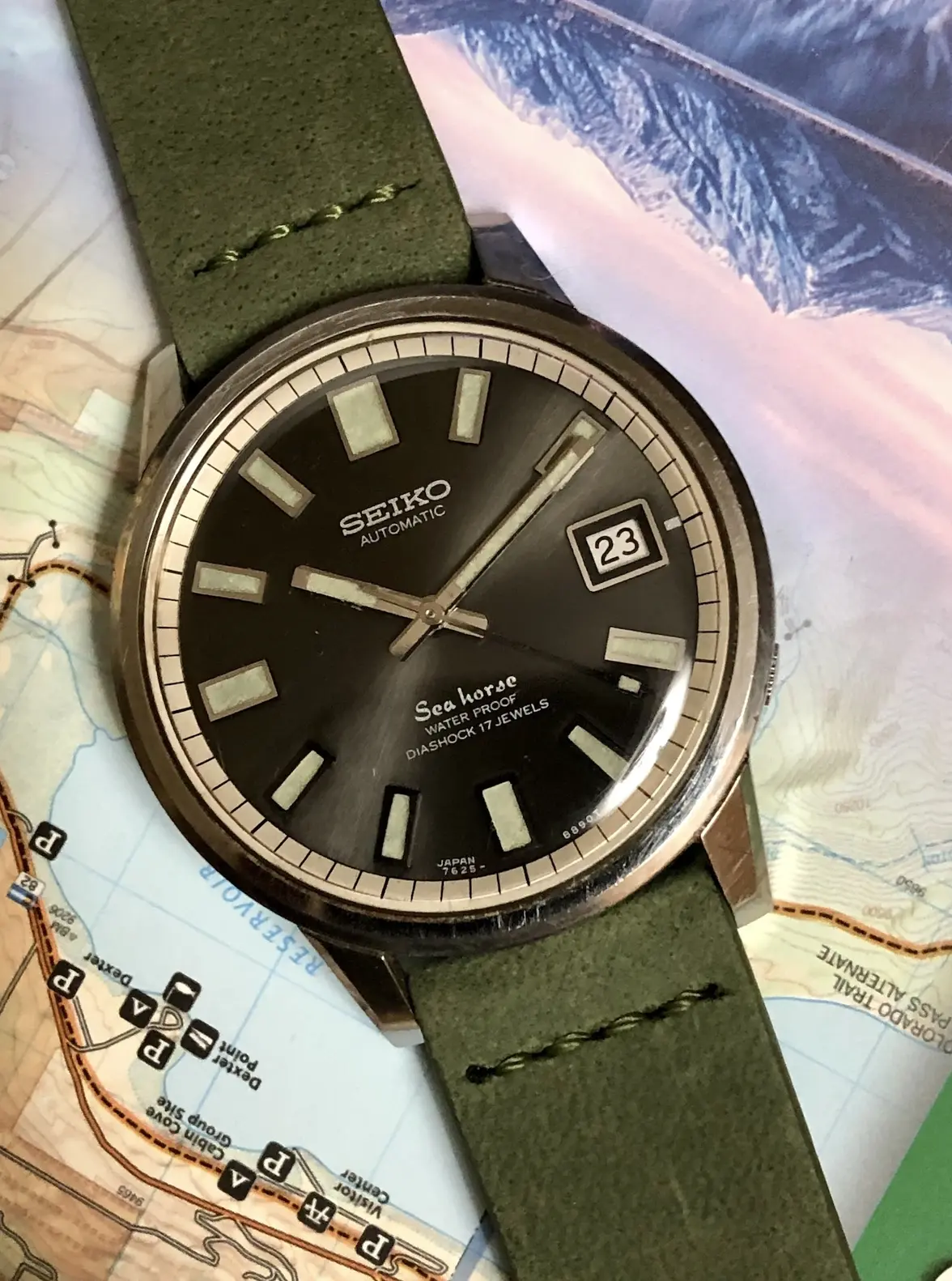 seiko_seahorse_2 copy.webp