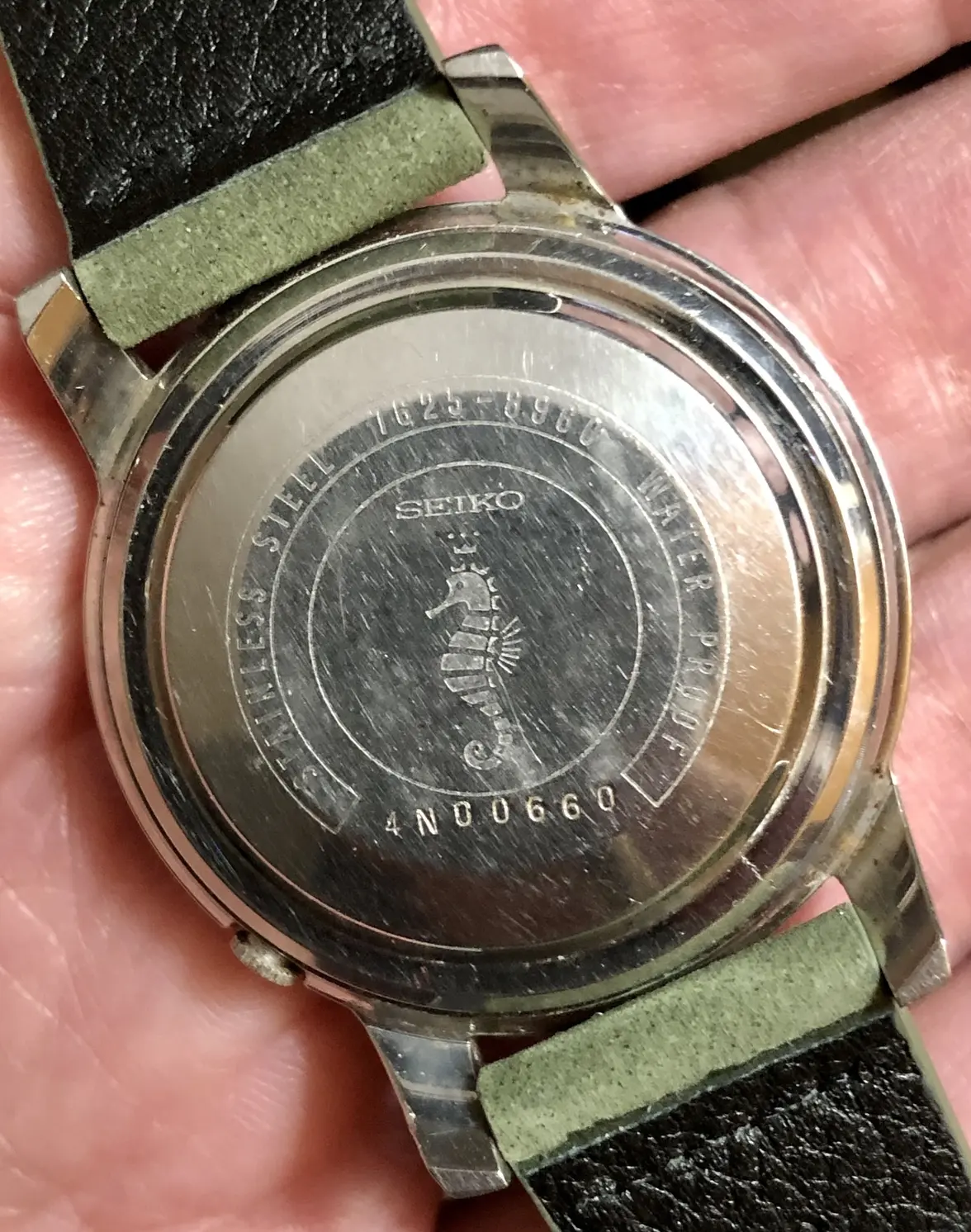 seiko_seahorse_back.webp