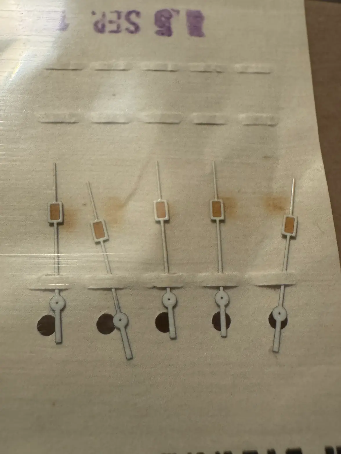 IMG_9391.webp IMG_9391.webp