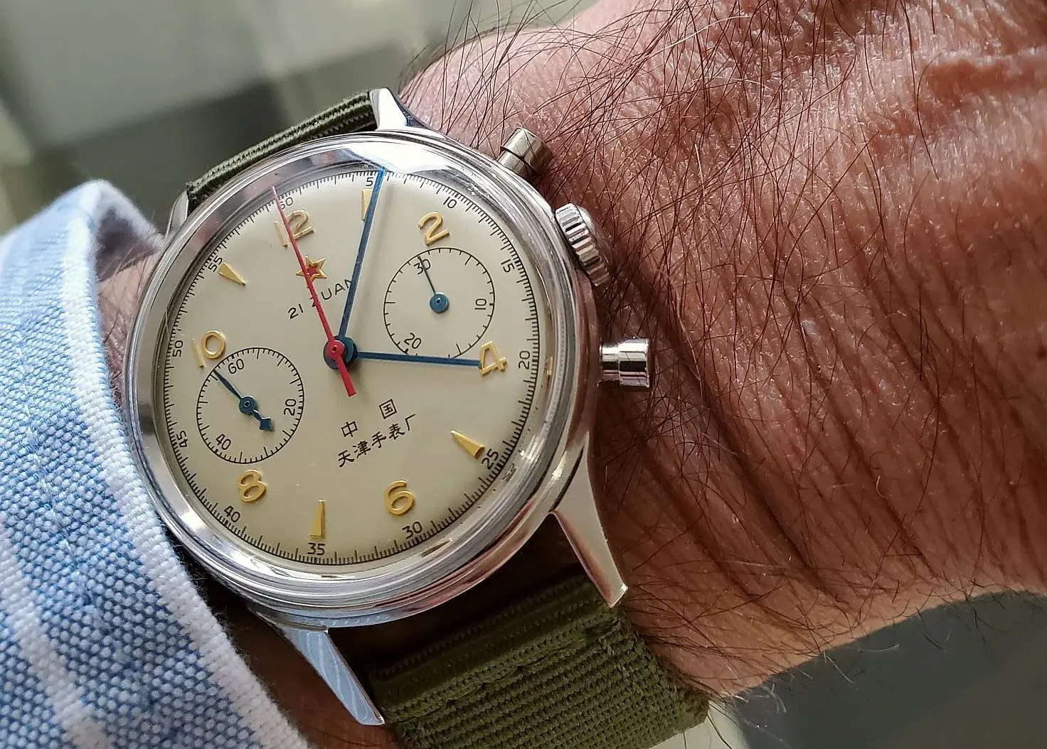 Seagull ws 1b 20260212_160649.webp