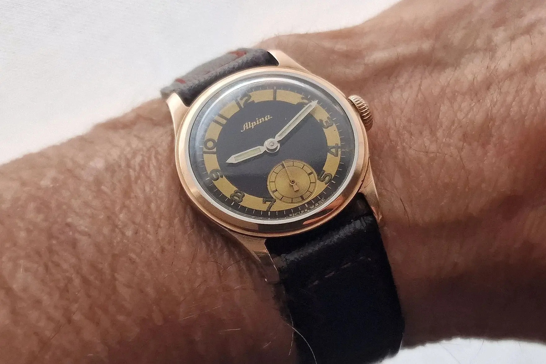 alpina a-o (10).webp