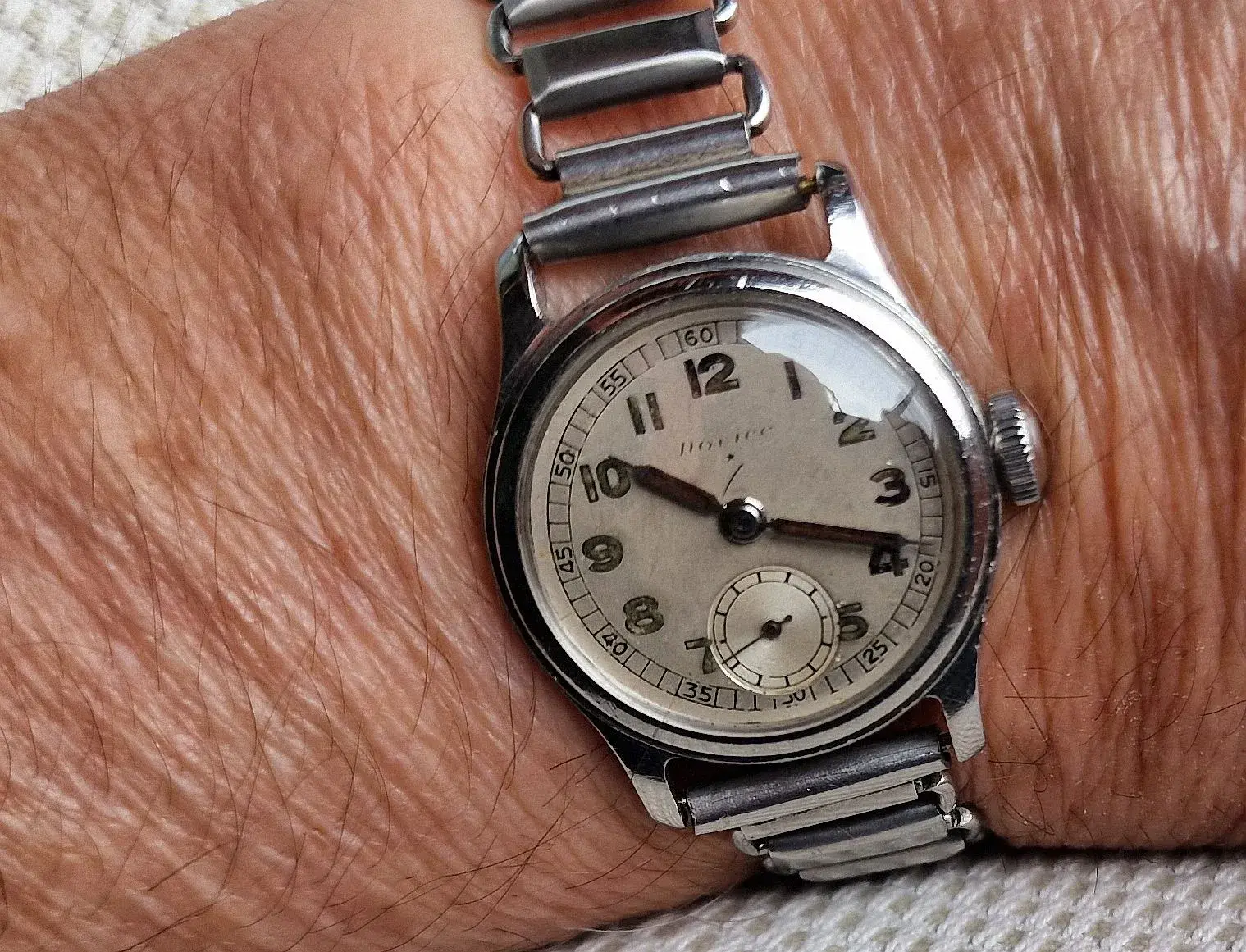 alpina novice (10).webp