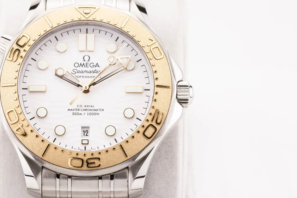 55094276105_3ab1211bfc_b.webp 55094276105_3ab1211bfc_b.webp