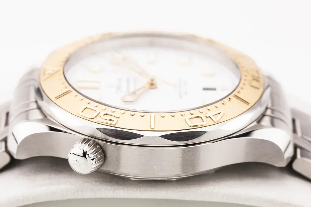 55093027542_d505bb4c97_b.webp 55093027542_d505bb4c97_b.webp