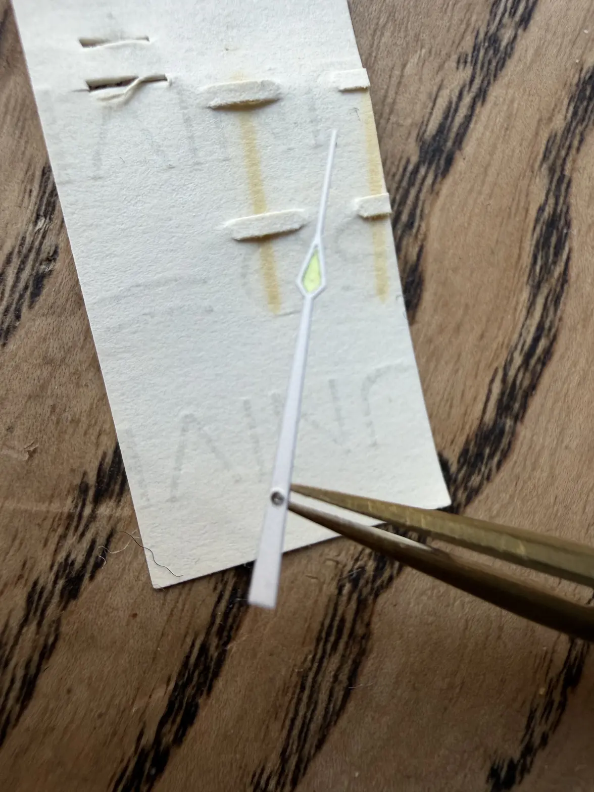 IMG_1289.webp IMG_1289.webp