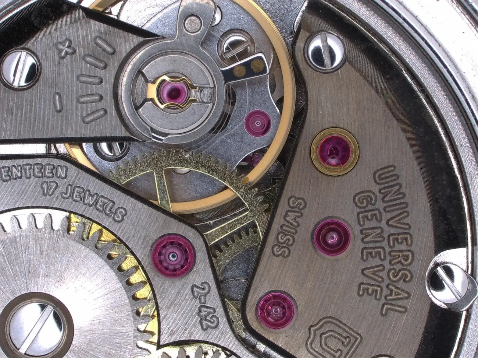 WhatsApp Image 2025-11-01 at 13.34.43.webp