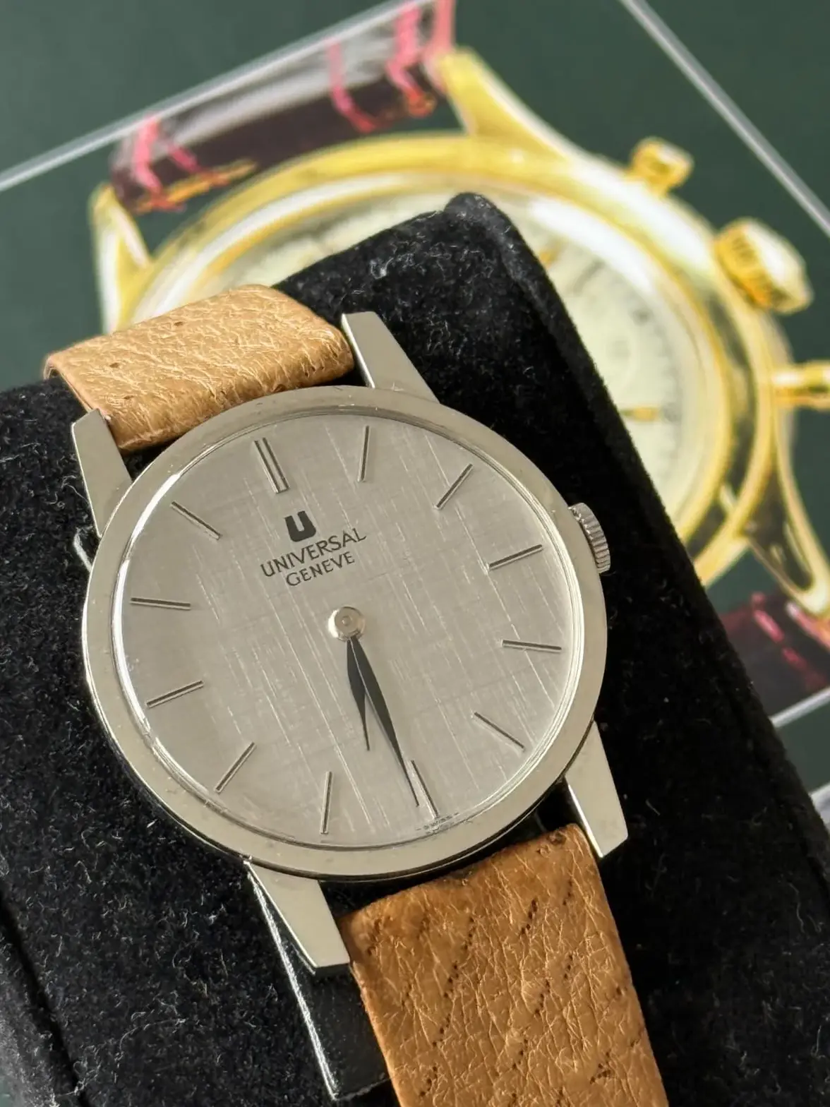 WhatsApp Image 2026-02-01 at 19.04.52.webp