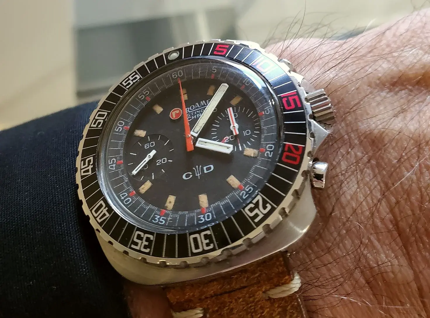 Roamer ws 1 20260216_160746.webp