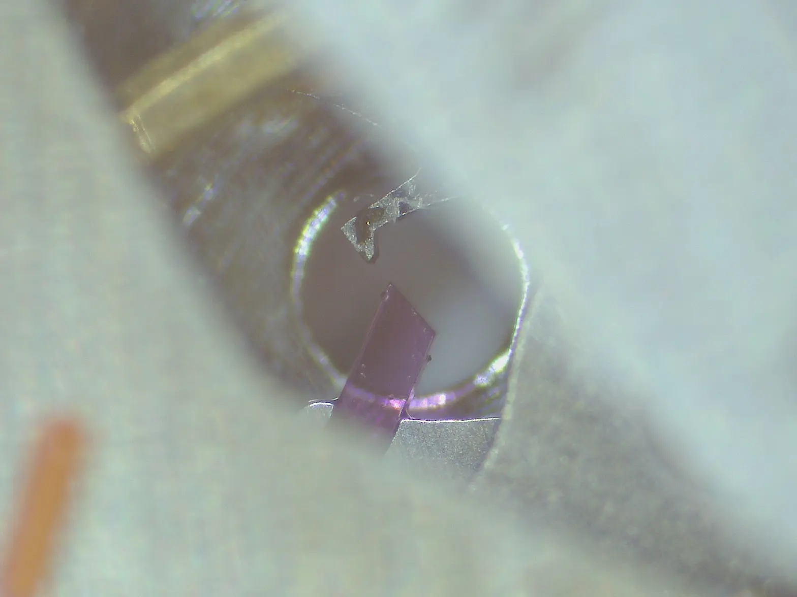 Escape:Pallet Jewel dirt.webp