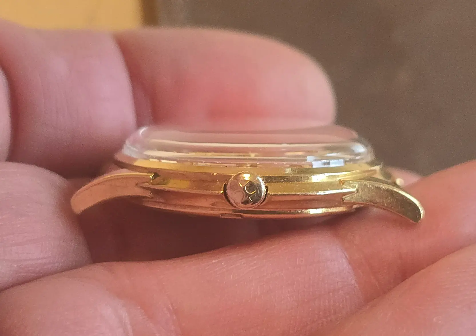 20260218_101606.webp 20260218_101606.webp