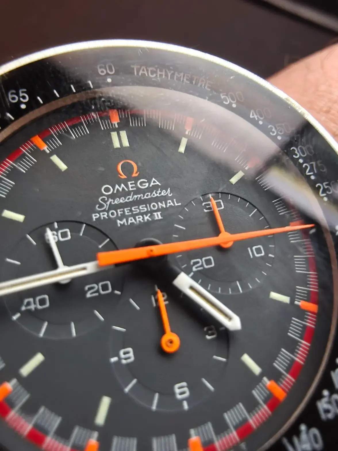 IMG20251217164427.webp IMG20251217164427.webp