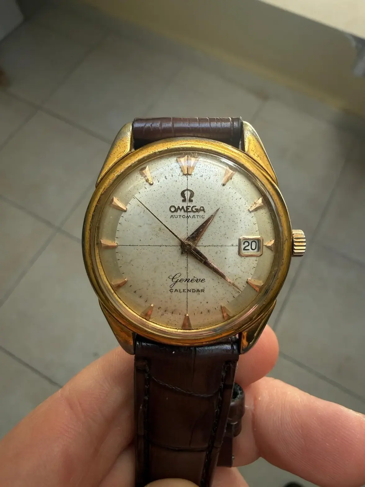 WhatsApp Image 2026-02-22 at 13.23.00.webp