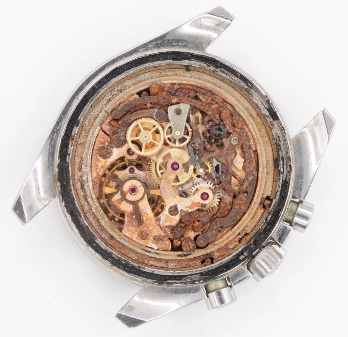 IMG_5463.webp IMG_5463.webp