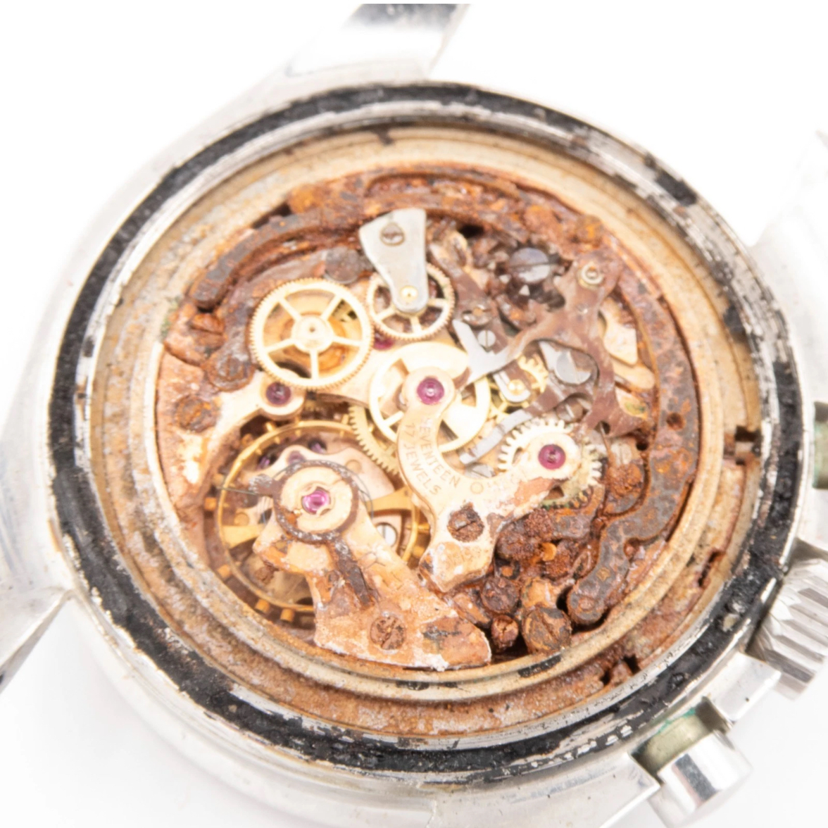 IMG_5464.webp IMG_5464.webp