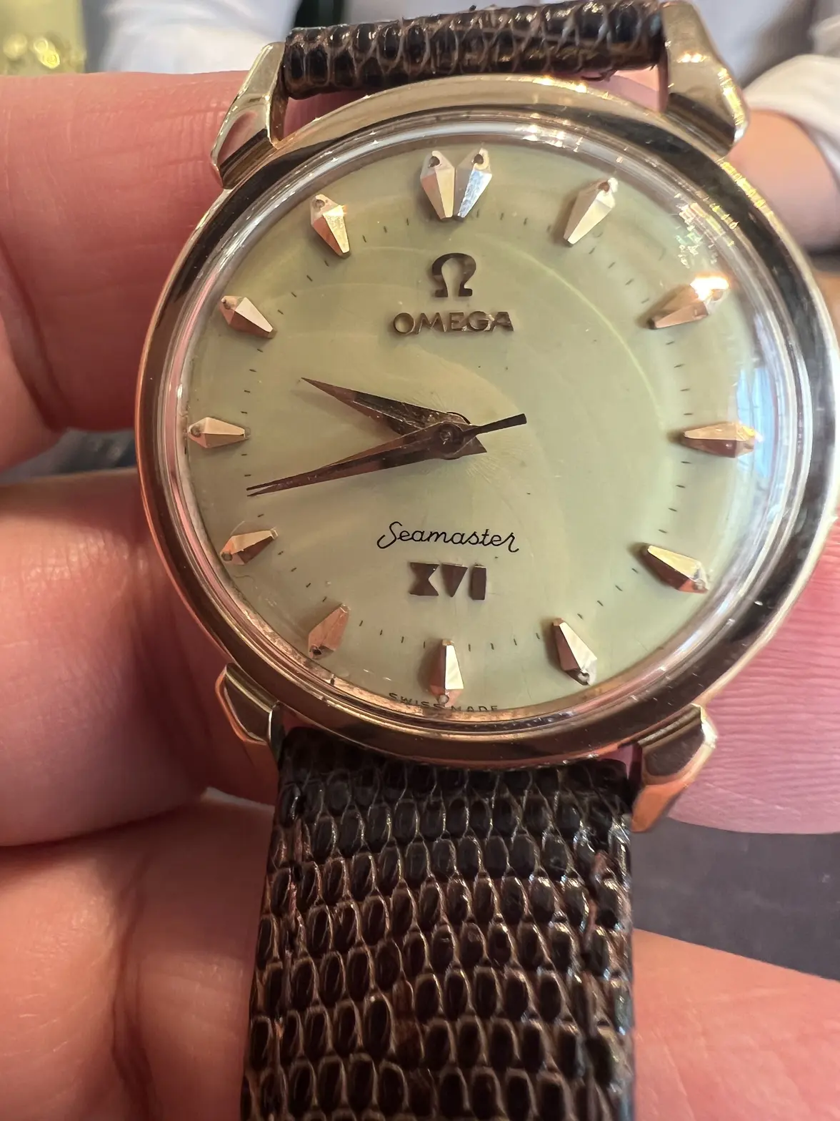 IMG_3108.webp IMG_3108.webp